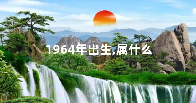 1964年出生,属什么