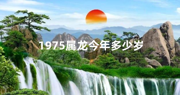 1975属龙今年多少岁