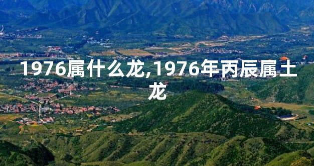 1976属什么龙,1976年丙辰属土龙