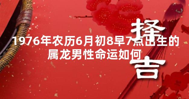 1976年农历6月初8早7点出生的属龙男性命运如何