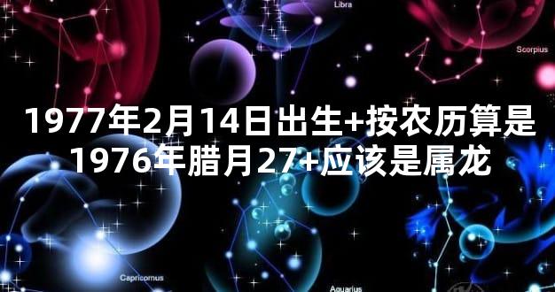 1977年2月14日出生+按农历算是1976年腊月27+应该是属龙