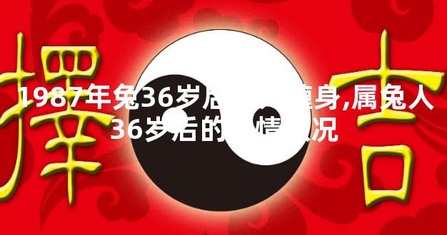 1987年兔36岁后贵人缠身,属兔人36岁后的感情状况