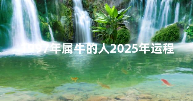 1997年属牛的人2025年运程