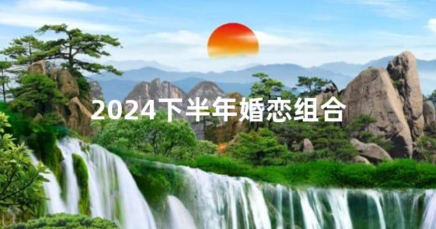 2024下半年婚恋组合