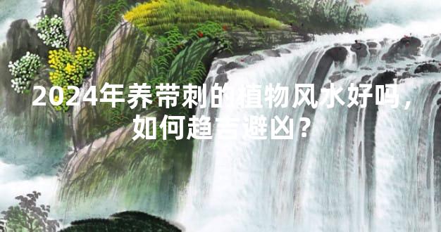 2024年养带刺的植物风水好吗，如何趋吉避凶？