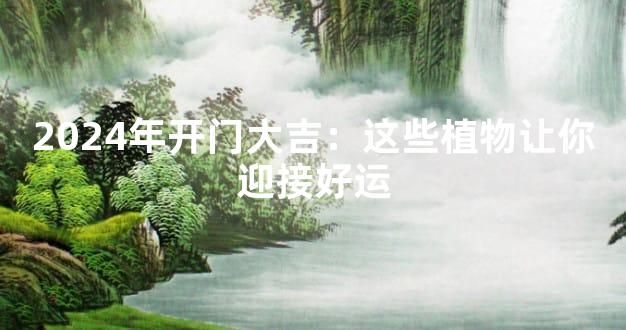 2024年开门大吉：这些植物让你迎接好运