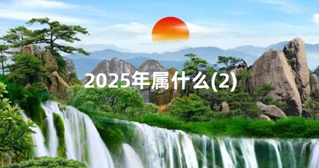 2025年属什么(2)