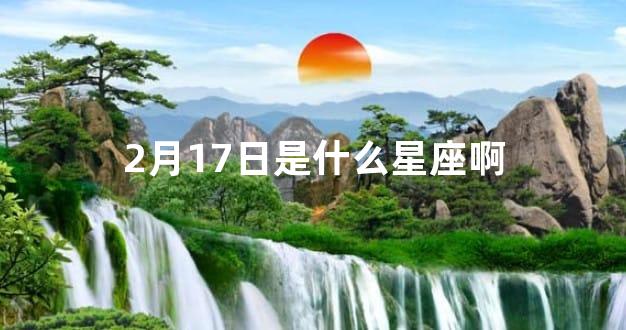 2月17日是什么星座啊