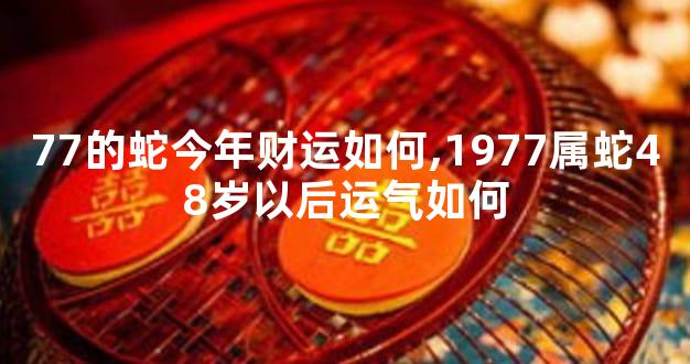 77的蛇今年财运如何,1977属蛇48岁以后运气如何