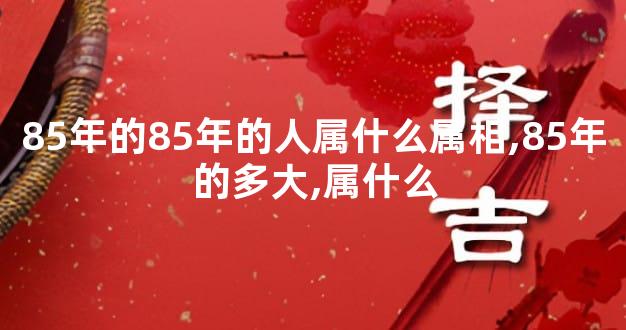 85年的85年的人属什么属相,85年的多大,属什么