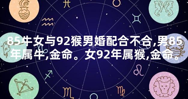 85牛女与92猴男婚配合不合,男85年属牛,金命。女92年属猴,金命。