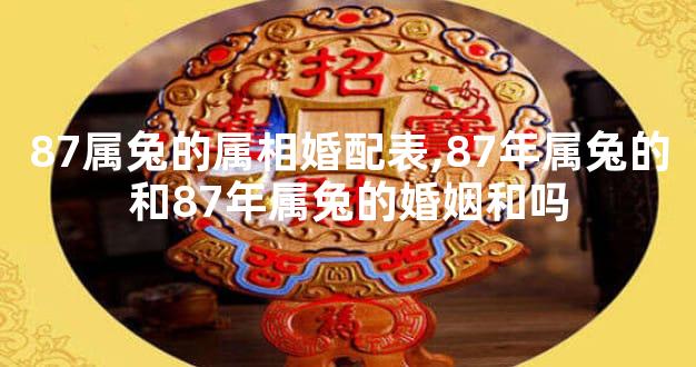 87属兔的属相婚配表,87年属兔的和87年属兔的婚姻和吗