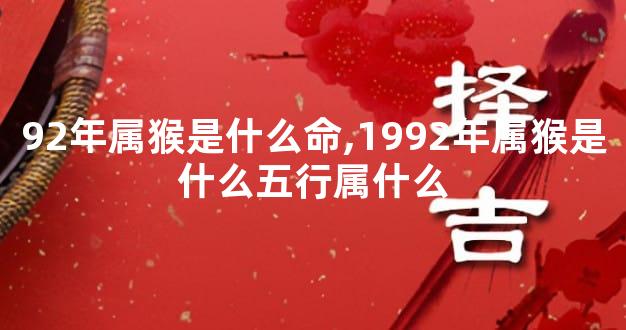 92年属猴是什么命,1992年属猴是什么五行属什么