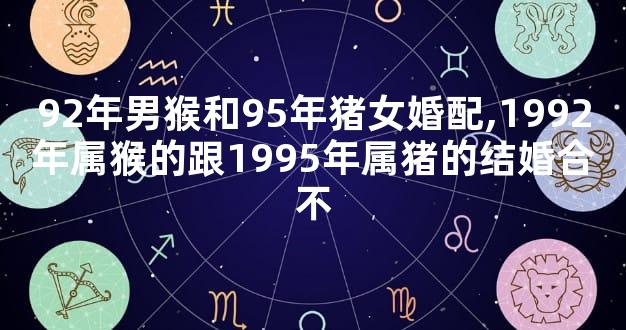 92年男猴和95年猪女婚配,1992年属猴的跟1995年属猪的结婚合不