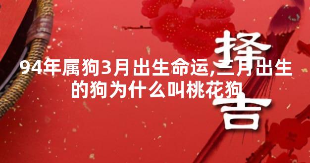 94年属狗3月出生命运,三月出生的狗为什么叫桃花狗