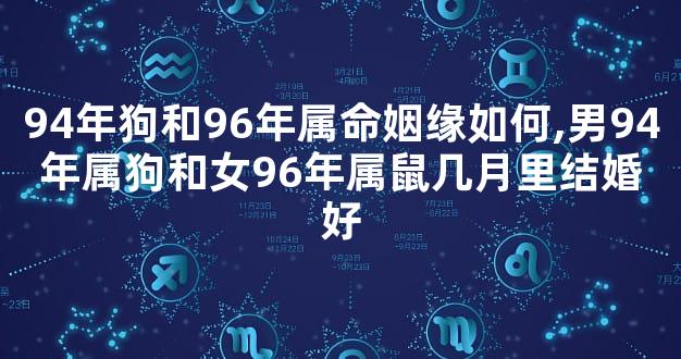 94年狗和96年属命姻缘如何,男94年属狗和女96年属鼠几月里结婚好