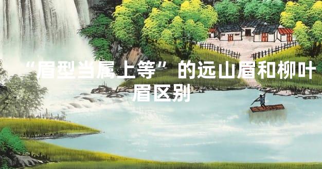 “眉型当属上等”的远山眉和柳叶眉区别