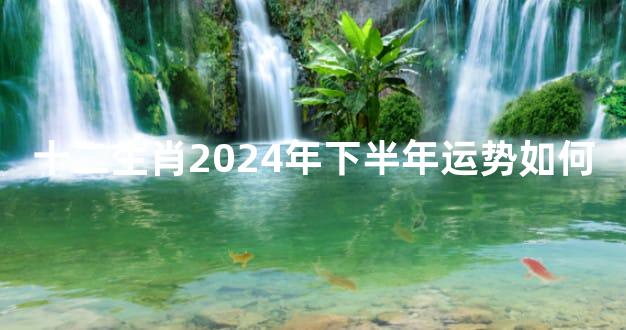 十二生肖2024年下半年运势如何