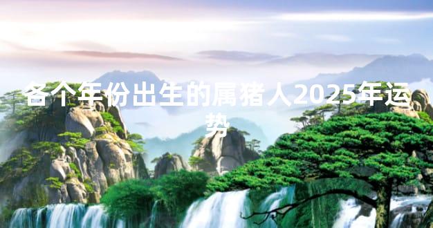 各个年份出生的属猪人2025年运势