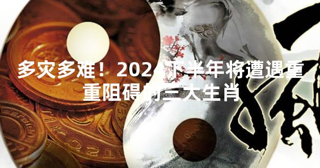 多灾多难！2024下半年将遭遇重重阻碍的三大生肖