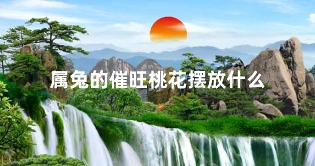 属兔的催旺桃花摆放什么