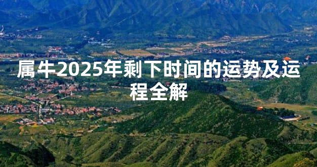 属牛2025年剩下时间的运势及运程全解