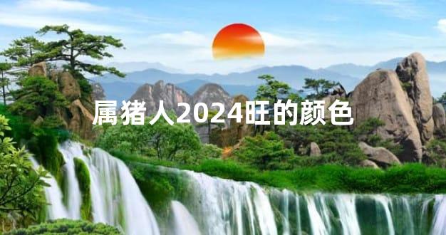 属猪人2024旺的颜色