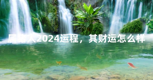 属猪人2024运程，其财运怎么样