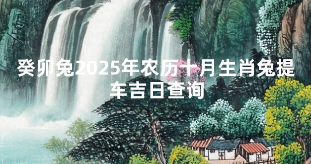 癸卯兔2025年农历十月生肖兔提车吉日查询