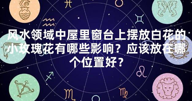 风水领域中屋里窗台上摆放白花的小玫瑰花有哪些影响？应该放在哪个位置好？